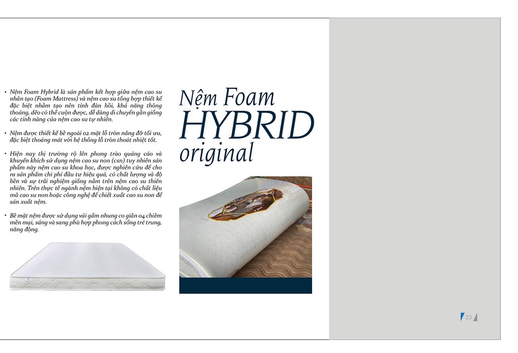 basu foam hybrid 02